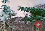 Image of United States Marines Saipan Northern Mariana Islands, 1944, second 39 stock footage video 65675062592