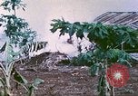 Image of United States Marines Saipan Northern Mariana Islands, 1944, second 40 stock footage video 65675062592