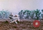 Image of United States Marines Saipan Northern Mariana Islands, 1944, second 53 stock footage video 65675062592