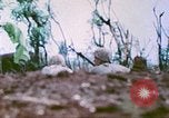 Image of United States Marines Saipan Northern Mariana Islands, 1944, second 54 stock footage video 65675062592