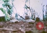 Image of United States Marines Saipan Northern Mariana Islands, 1944, second 55 stock footage video 65675062592