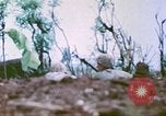 Image of United States Marines Saipan Northern Mariana Islands, 1944, second 56 stock footage video 65675062592