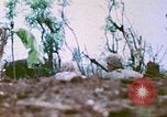 Image of United States Marines Saipan Northern Mariana Islands, 1944, second 62 stock footage video 65675062592