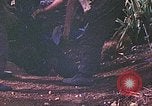 Image of United States Marines Saipan Northern Mariana Islands, 1944, second 38 stock footage video 65675062593