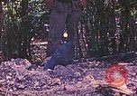 Image of United States Marines Saipan Northern Mariana Islands, 1944, second 44 stock footage video 65675062593
