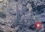 Standbild Vereinigten Staaten Marines Saipan Nördliche Marianen, 1944, aus Sekunde 10 historischem Filmmaterial Videoclip 65675062594