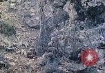 Standbild Vereinigten Staaten Marines Saipan Nördliche Marianen, 1944, aus Sekunde 11 historischem Filmmaterial Videoclip 65675062594