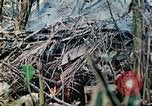 Standbild Vereinigten Staaten Marines Saipan Nördliche Marianen, 1944, aus Sekunde 34 historischem Filmmaterial Videoclip 65675062594