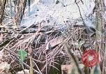 Standbild Vereinigten Staaten Marines Saipan Nördliche Marianen, 1944, aus Sekunde 39 historischem Filmmaterial Videoclip 65675062594
