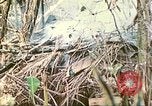 Standbild Vereinigten Staaten Marines Saipan Nördliche Marianen, 1944, aus Sekunde 41 historischem Filmmaterial Videoclip 65675062594