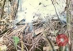 Standbild Vereinigten Staaten Marines Saipan Nördliche Marianen, 1944, aus Sekunde 43 historischem Filmmaterial Videoclip 65675062594