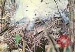Standbild Vereinigten Staaten Marines Saipan Nördliche Marianen, 1944, aus Sekunde 44 historischem Filmmaterial Videoclip 65675062594