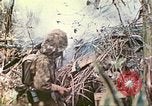 Standbild Vereinigten Staaten Marines Saipan Nördliche Marianen, 1944, aus Sekunde 46 historischem Filmmaterial Videoclip 65675062594
