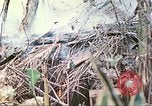 Standbild Vereinigten Staaten Marines Saipan Nördliche Marianen, 1944, aus Sekunde 49 historischem Filmmaterial Videoclip 65675062594