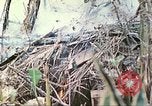 Standbild Vereinigten Staaten Marines Saipan Nördliche Marianen, 1944, aus Sekunde 50 historischem Filmmaterial Videoclip 65675062594