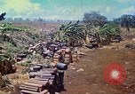 Immagine di Stati Uniti Marines Isole Marianne, 1944, secondo 5 filmato di repertorio 65675062595