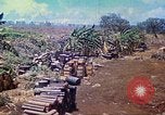 Immagine di Stati Uniti Marines Isole Marianne, 1944, secondo 6 filmato di repertorio 65675062595