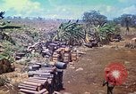 Immagine di Stati Uniti Marines Isole Marianne, 1944, secondo 8 filmato di repertorio 65675062595