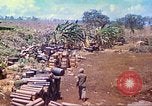Immagine di Stati Uniti Marines Isole Marianne, 1944, secondo 13 filmato di repertorio 65675062595