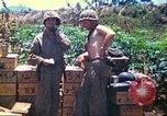 Immagine di Stati Uniti Marines Isole Marianne, 1944, secondo 53 filmato di repertorio 65675062595