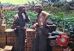 Immagine di Stati Uniti Marines Isole Marianne, 1944, secondo 55 filmato di repertorio 65675062595