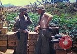 Immagine di Stati Uniti Marines Isole Marianne, 1944, secondo 56 filmato di repertorio 65675062595
