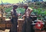 Immagine di Stati Uniti Marines Isole Marianne, 1944, secondo 58 filmato di repertorio 65675062595