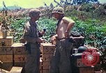 Immagine di Stati Uniti Marines Isole Marianne, 1944, secondo 59 filmato di repertorio 65675062595