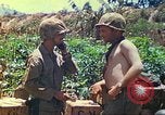 Immagine di Stati Uniti Marines Isole Marianne, 1944, secondo 62 filmato di repertorio 65675062595