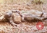 Standbild Vereinigten Staaten Marines Marianen, 1944, aus Sekunde 5 historischem Filmmaterial Videoclip 65675062597