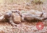 Standbild Vereinigten Staaten Marines Marianen, 1944, aus Sekunde 6 historischem Filmmaterial Videoclip 65675062597