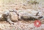 Standbild Vereinigten Staaten Marines Marianen, 1944, aus Sekunde 8 historischem Filmmaterial Videoclip 65675062597