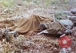 Standbild Vereinigten Staaten Marines Marianen, 1944, aus Sekunde 18 historischem Filmmaterial Videoclip 65675062597