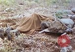 Standbild Vereinigten Staaten Marines Marianen, 1944, aus Sekunde 19 historischem Filmmaterial Videoclip 65675062597