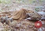 Standbild Vereinigten Staaten Marines Marianen, 1944, aus Sekunde 20 historischem Filmmaterial Videoclip 65675062597