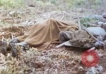 Standbild Vereinigten Staaten Marines Marianen, 1944, aus Sekunde 21 historischem Filmmaterial Videoclip 65675062597