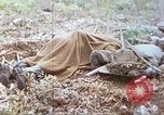 Standbild Vereinigten Staaten Marines Marianen, 1944, aus Sekunde 23 historischem Filmmaterial Videoclip 65675062597