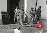 Immagine di I piloti della 332 Gruppo Caccia fuori di testa su una missione Termoli Italia, 1944, secondo 10 filmato di repertorio 65675062599