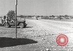 Immagine di I piloti della 332 Gruppo Caccia fuori di testa su una missione Termoli Italia, 1944, secondo 22 filmato di repertorio 65675062599