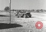 Immagine di I piloti della 332 Gruppo Caccia fuori di testa su una missione Termoli Italia, 1944, secondo 24 filmato di repertorio 65675062599