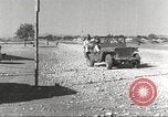 Immagine di I piloti della 332 Gruppo Caccia fuori di testa su una missione Termoli Italia, 1944, secondo 25 filmato di repertorio 65675062599