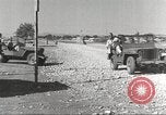 Immagine di I piloti della 332 Gruppo Caccia fuori di testa su una missione Termoli Italia, 1944, secondo 26 filmato di repertorio 65675062599