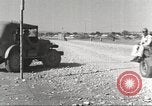 Immagine di I piloti della 332 Gruppo Caccia fuori di testa su una missione Termoli Italia, 1944, secondo 30 filmato di repertorio 65675062599