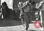 Immagine di I piloti della 332 Gruppo Caccia fuori di testa su una missione Termoli Italia, 1944, secondo 41 filmato di repertorio 65675062599
