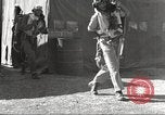 Immagine di I piloti della 332 Gruppo Caccia fuori di testa su una missione Termoli Italia, 1944, secondo 45 filmato di repertorio 65675062599