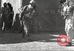 Immagine di I piloti della 332 Gruppo Caccia fuori di testa su una missione Termoli Italia, 1944, secondo 46 filmato di repertorio 65675062599