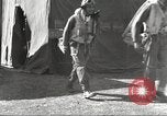 Immagine di I piloti della 332 Gruppo Caccia fuori di testa su una missione Termoli Italia, 1944, secondo 50 filmato di repertorio 65675062599