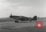 Immagine di I piloti della 100th Fighter Squadron 332Fighter Group Termoli Italia, 1944, secondo 46 filmato di repertorio 65675062601