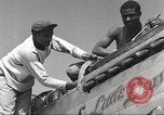 Standbild Masse crewmwn Wartung P-51s der 332 Fighter Group Termoli Italien, 1944, aus Sekunde 15 historischem Filmmaterial Videoclip 65675062602