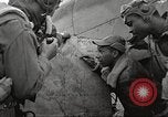 Standbild Negro 99 Ausübung Geschwader der 332 Fighter Group Orsogna Italien, 1943, aus Sekunde 38 historischem Filmmaterial Videoclip 65675062604